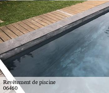 Revêtement de piscine 06460