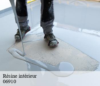 Résine intérieur 06910