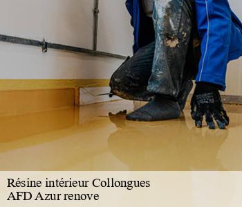 Résine intérieur 06910