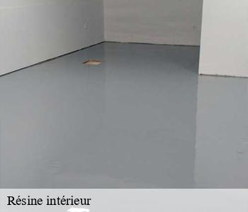 Résine intérieur 06910