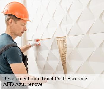Revêtement mur touet-de-l-escarene-06440 AFD Azur renove