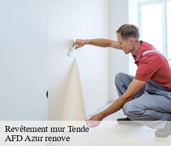Revêtement mur 06430