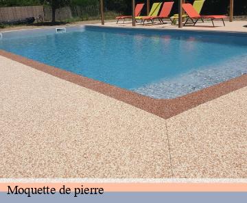 Moquette de pierre 06910