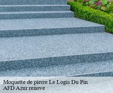 Moquette de pierre le-logis-du-pin-06750 AFD Azur renove
