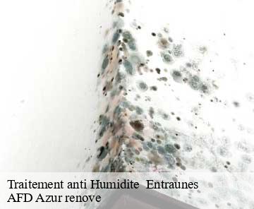 Traitement anti Humidite entraunes-06470 AFD Azur renove