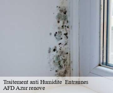 Traitement anti Humidite 06470