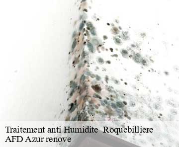 Traitement anti Humidite   roquebilliere-06450 AFD Azur renove