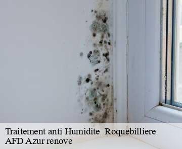 Traitement anti Humidite   06450