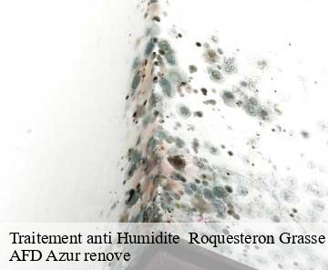 Traitement anti Humidite roquesteron-grasse-06910 AFD Azur renove