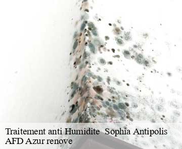 Traitement anti Humidite sophia-antipolis-06560 AFD Azur renove