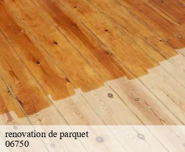 renovation de parquet 06750