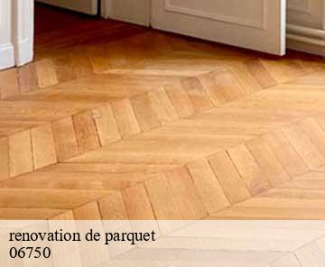 renovation de parquet 06750