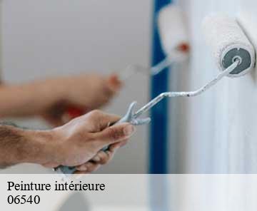 Peinture intérieure 06540