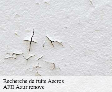 Recherche de fuite