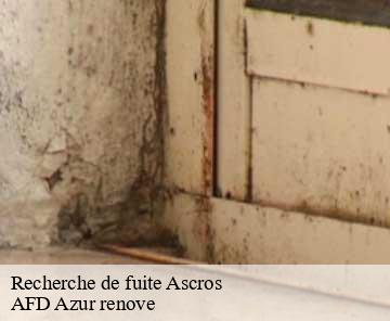 Recherche de fuite 06260