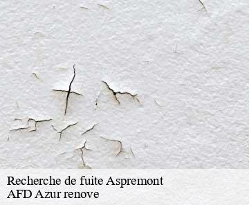 Recherche de fuite