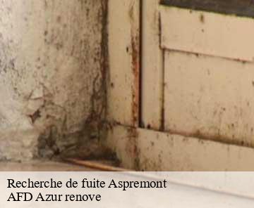 Recherche de fuite 06790