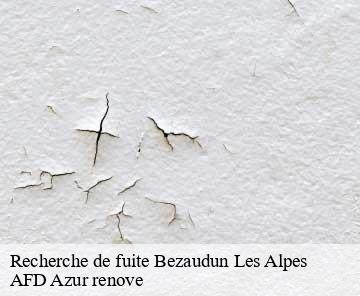 Recherche de fuite