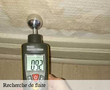 Recherche de fuite