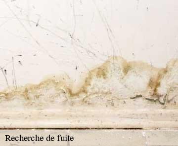 Recherche de fuite 06510