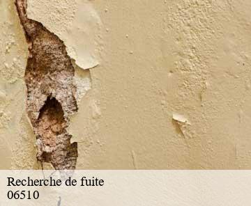 Recherche de fuite 06510