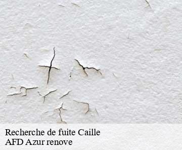 Recherche de fuite