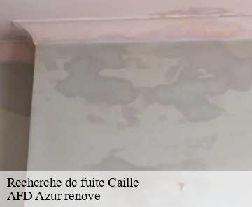 Recherche de fuite caille-06750 AFD Azur renove