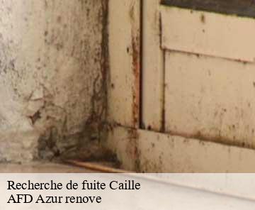 Recherche de fuite 06750