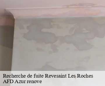 Recherche de fuite revesaint-les-roches-06830 AFD Azur renove