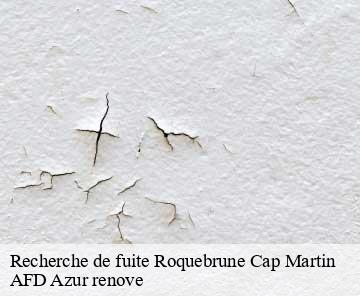 Recherche de fuite