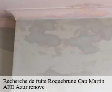 Recherche de fuite roquebrune-cap-martin-06190 AFD Azur renove