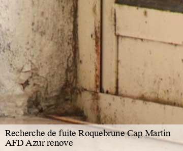 Recherche de fuite 06190