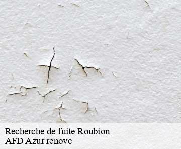 Recherche de fuite