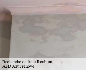Recherche de fuite roubion-06420 AFD Azur renove