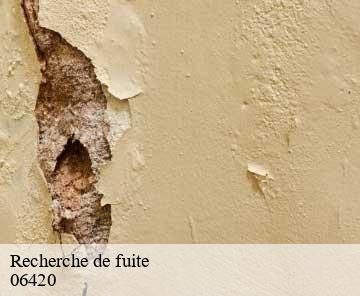 Recherche de fuite 06420