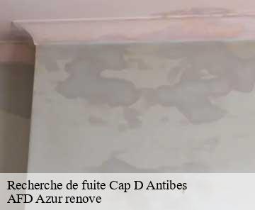 Recherche de fuite cap-d-antibes-06160 AFD Azur renove
