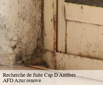 Recherche de fuite 06160