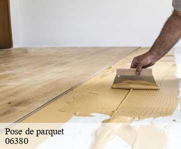 Pose de parquet 06380