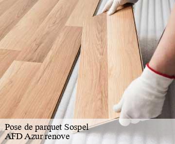 Pose de parquet 06380