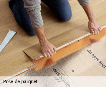 Pose de parquet 06380