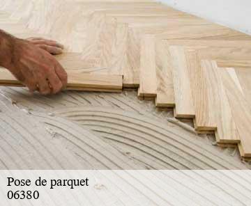 Pose de parquet 06380