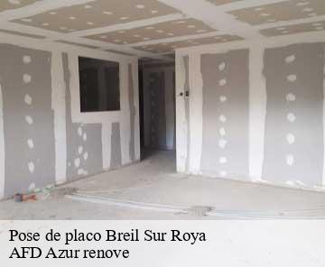 Pose de placo breil-sur-roya-06540 AFD Azur renove