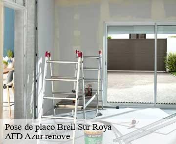 Pose de placo 06540