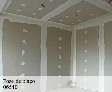 Pose de placo 06540