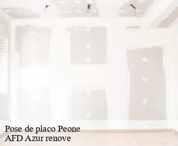 Pose de placo